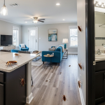 リノベーション賃貸のゴキブリ出現！賢い対策と選び方